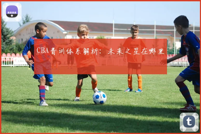 CBA青训体系解析：未来之星在哪里